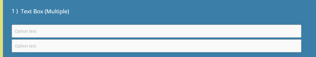 Text Box (Mutiple) Question