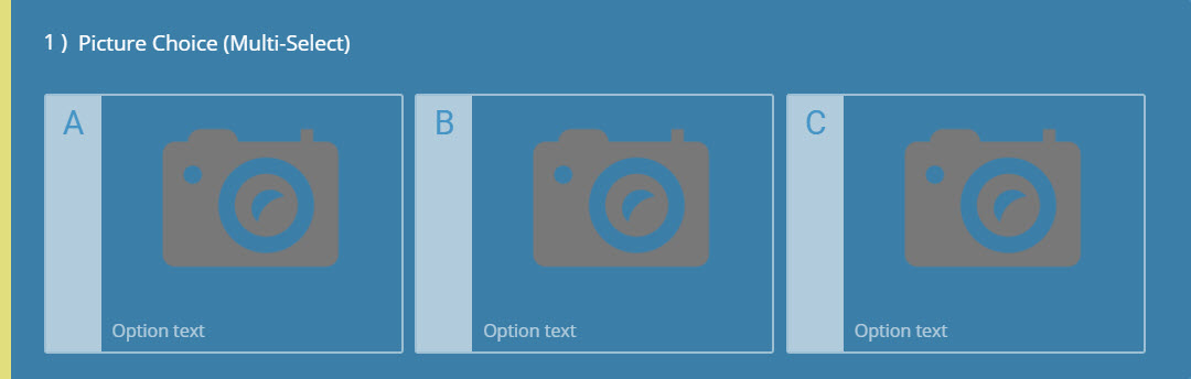 Picture Choice (Multiple Select) Question